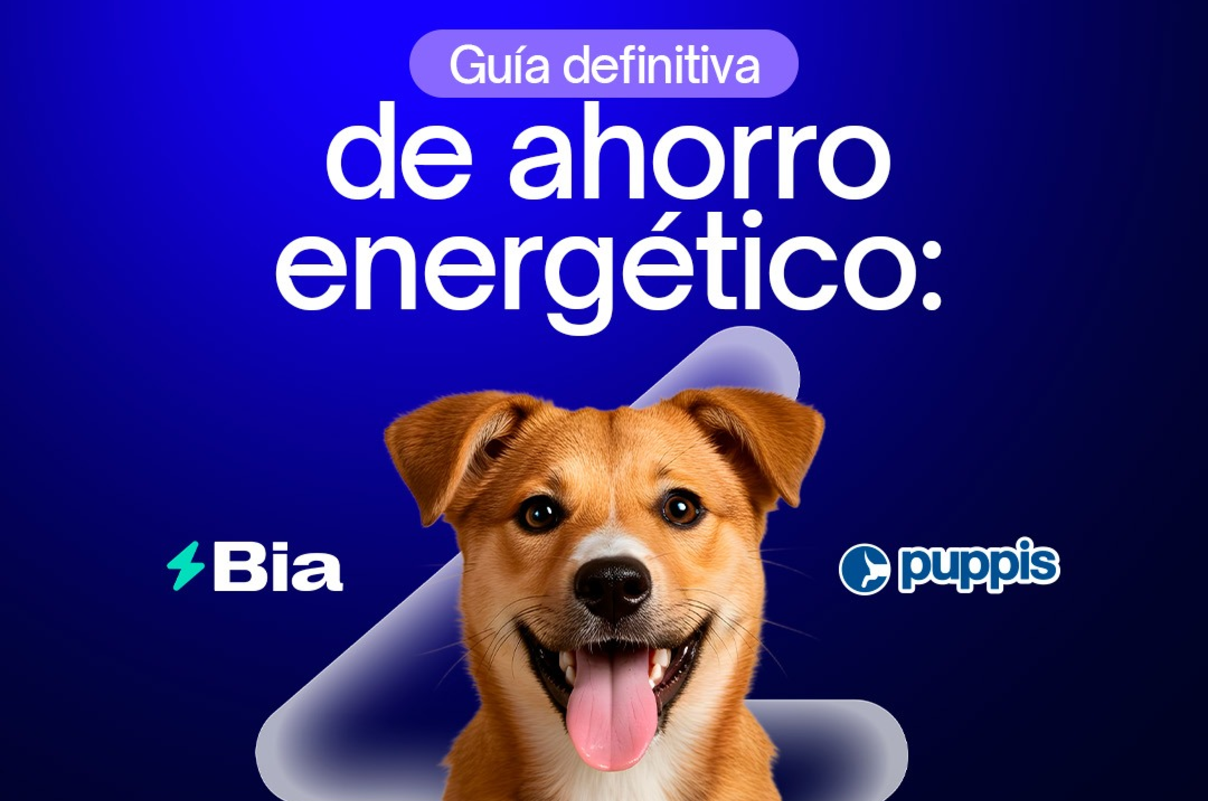 6,97%: El ahorro de Puppis con Bia